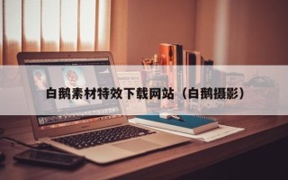 宜昌白鹅素材特效下载网站（白鹅摄影）